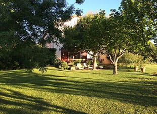 Garden outside Bacchus guesthouse