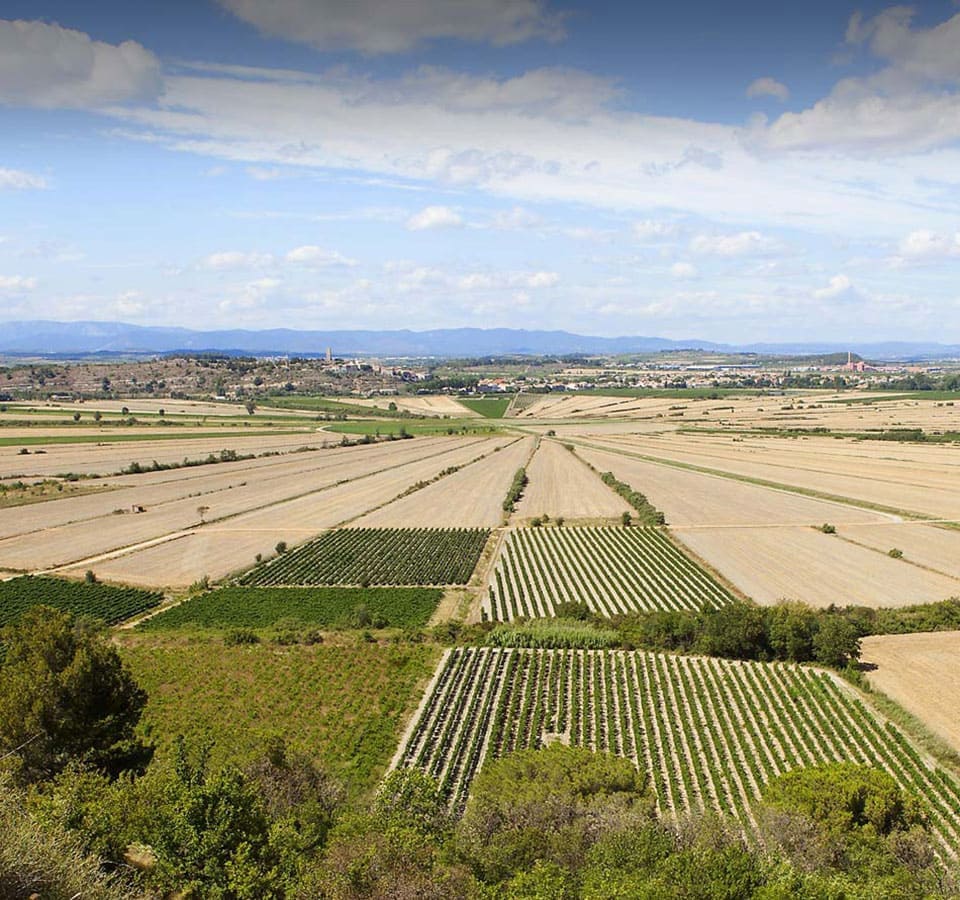 El Oppidum de Ensérune (asentamiento poblacional galo), sitio turístico para visitar durante su estancia en al Finca de la Vernède, alquiler de casas rurales cerca de Béziers