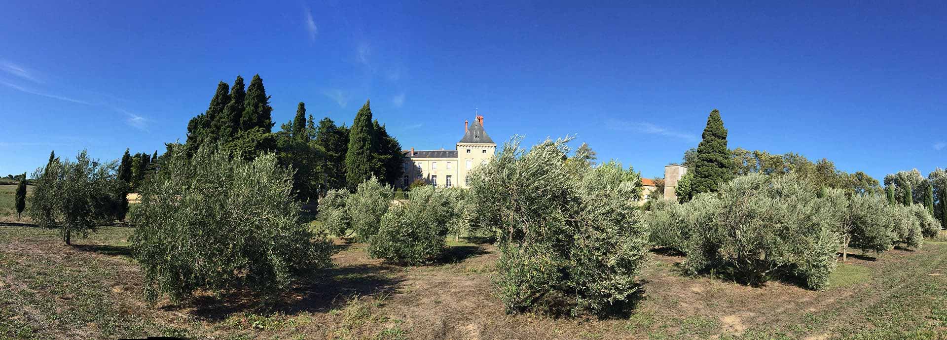 Entdecken Sie die Biodiversität des 120 Hektar großen Domaine la Vernède, Gästezimmer zur Vermietung in der Nähe von Béziers